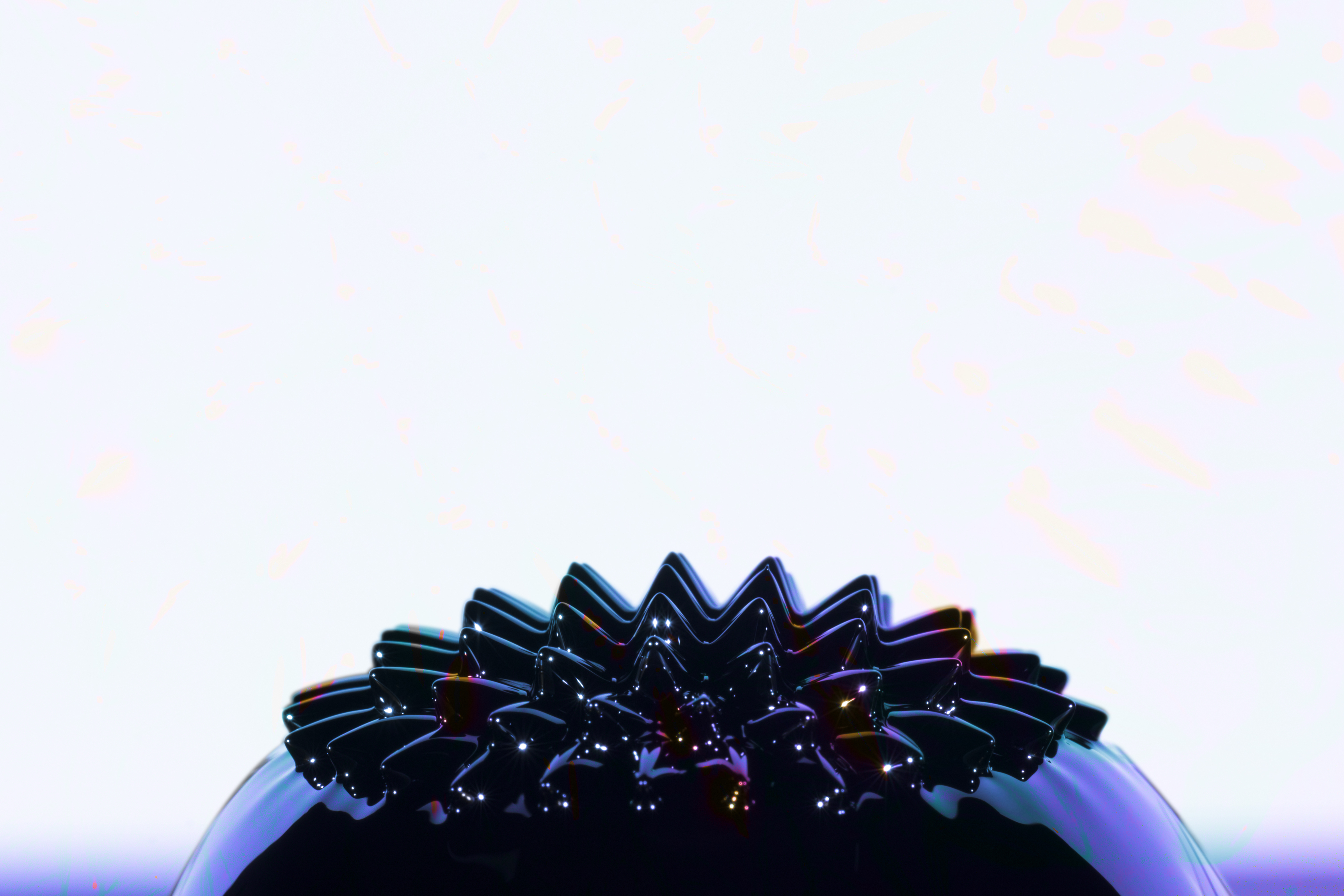 Prophet Bird services